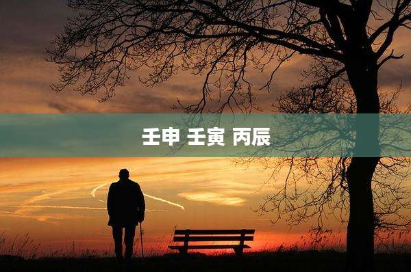壬申 壬寅 丙辰