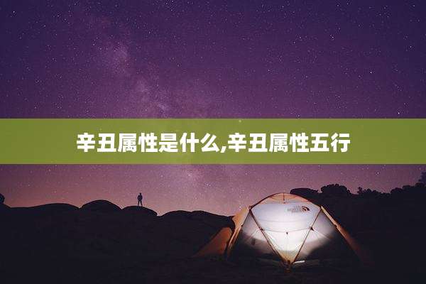 辛丑属性是什么,辛丑属性五行