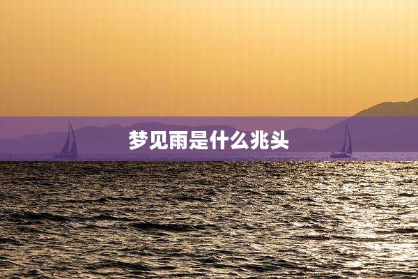 梦见雨是什么兆头