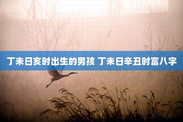 丁未日亥时出生的男孩 丁未日辛丑时富八字