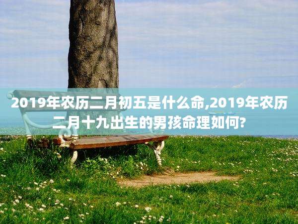 2019年农历二月初五是什么命,2019年农历二月十九出生的男孩命理如何?