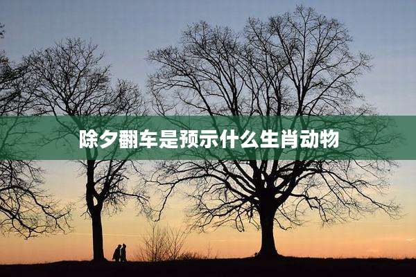 除夕翻车是预示什么生肖动物