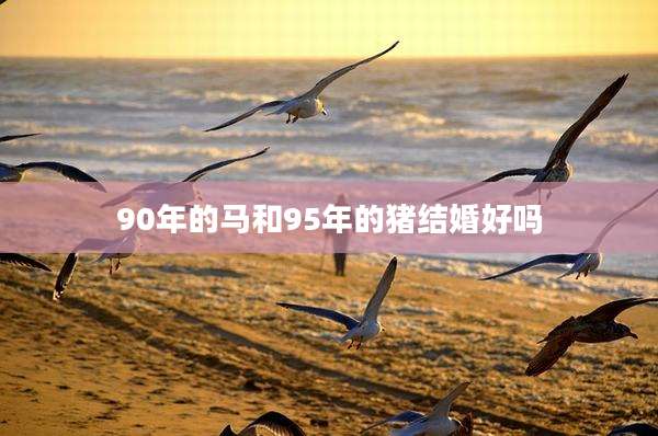 90年的马和95年的猪结婚好吗