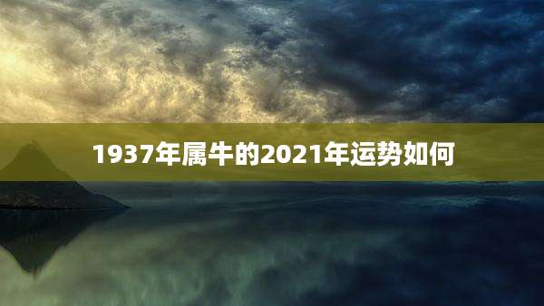 1937年属牛的2021年运势如何