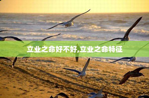 立业之命好不好,立业之命特征