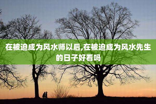 在被迫成为风水师以后,在被迫成为风水先生的日子好看吗