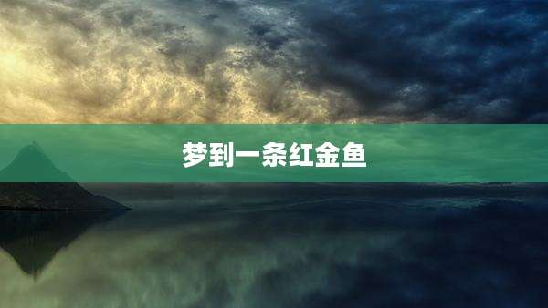 梦到一条红金鱼
