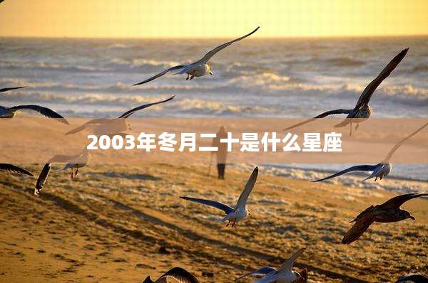 2003年冬月二十是什么星座