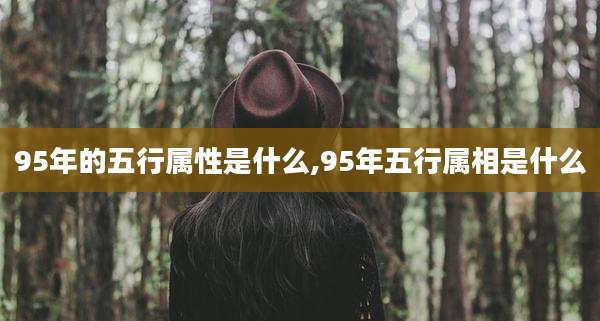 95年的五行属性是什么,95年五行属相是什么