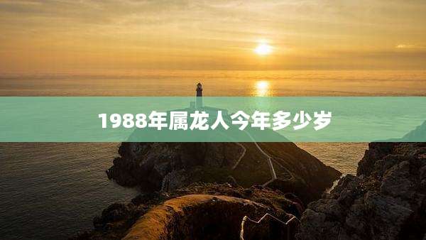 1988年属龙人今年多少岁