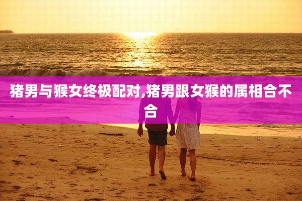 猪男与猴女终极配对,猪男跟女猴的属相合不合