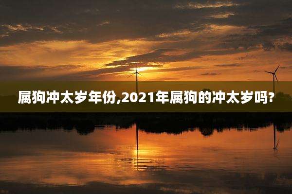 属狗冲太岁年份,2021年属狗的冲太岁吗?