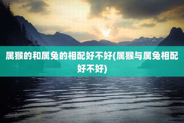 属猴的和属兔的相配好不好(属猴与属兔相配好不好)