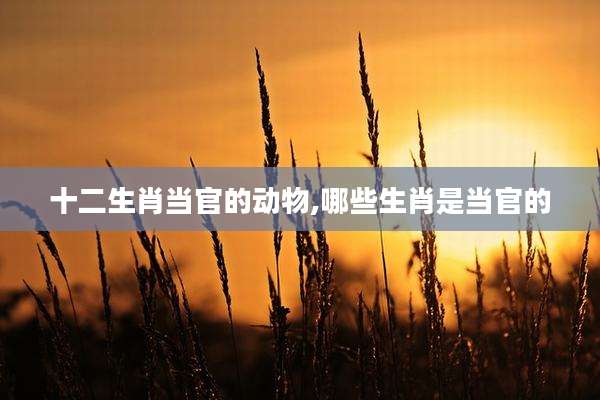 十二生肖当官的动物,哪些生肖是当官的