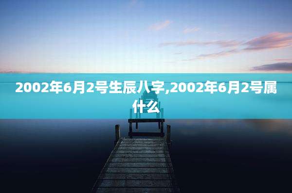 2002年6月2号生辰八字,2002年6月2号属什么