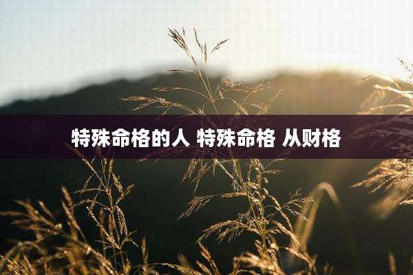 特殊命格的人 特殊命格 从财格