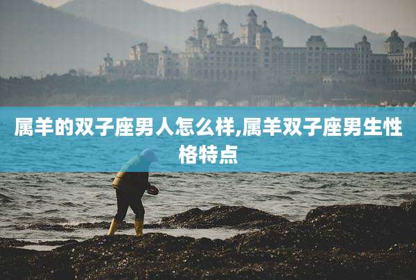 属羊的双子座男人怎么样,属羊双子座男生性格特点