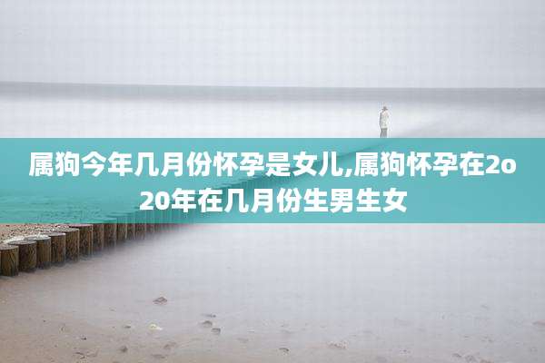 属狗今年几月份怀孕是女儿,属狗怀孕在2o20年在几月份生男生女