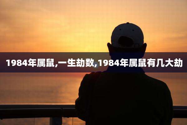 1984年属鼠,一生劫数,1984年属鼠有几大劫
