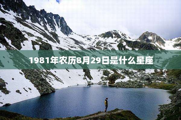 1981年农历8月29日是什么星座