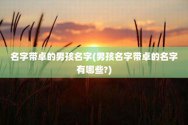 名字带卓的男孩名字(男孩名字带卓的名字有哪些?)