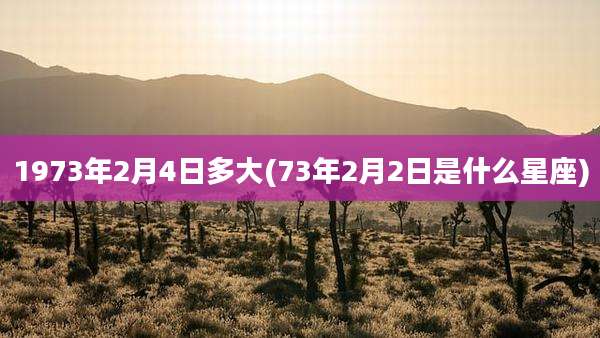 1973年2月4日多大(73年2月2日是什么星座)