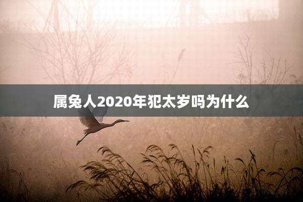 属兔人2020年犯太岁吗为什么