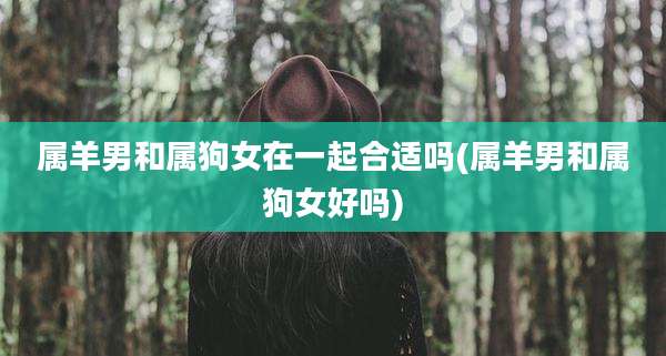 属羊男和属狗女在一起合适吗(属羊男和属狗女好吗)