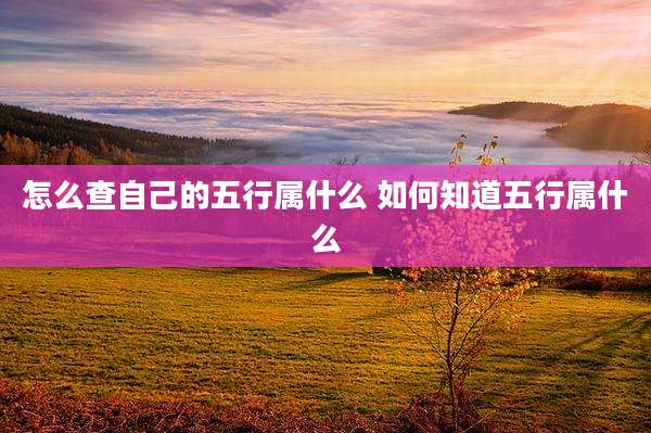 怎么查自己的五行属什么 如何知道五行属什么
