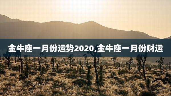 金牛座一月份运势2020,金牛座一月份财运