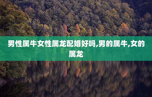 男性属牛女性属龙配婚好吗,男的属牛,女的属龙