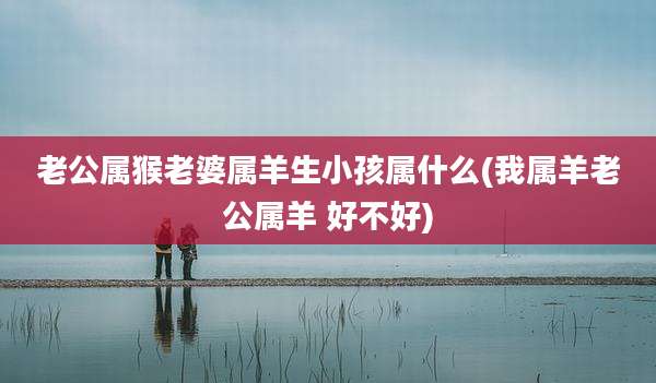老公属猴老婆属羊生小孩属什么(我属羊老公属羊 好不好)