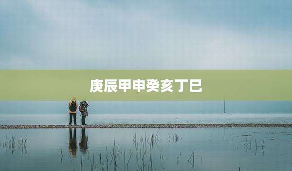 庚辰甲申癸亥丁巳