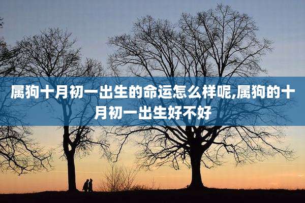 属狗十月初一出生的命运怎么样呢,属狗的十月初一出生好不好