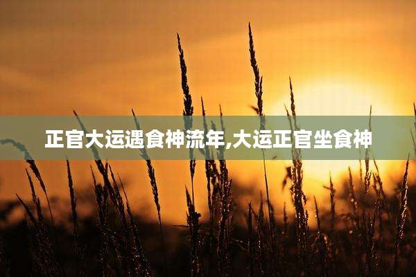 正官大运遇食神流年,大运正官坐食神