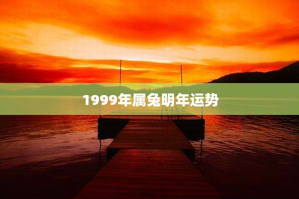 1999年属兔明年运势