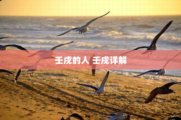 壬戌的人 壬戌详解