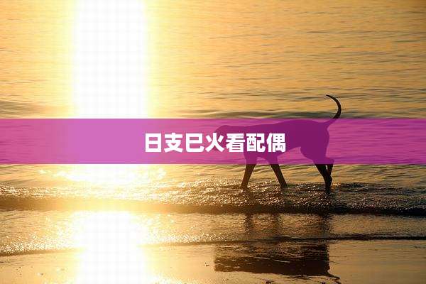 日支巳火看配偶
