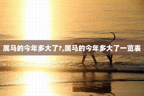 属马的今年多大了?,属马的今年多大了一览表