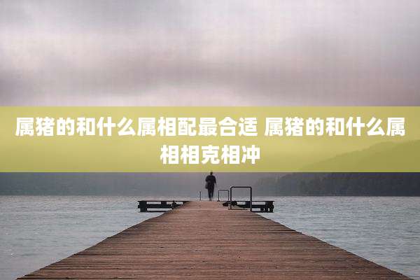 属猪的和什么属相配最合适 属猪的和什么属相相克相冲