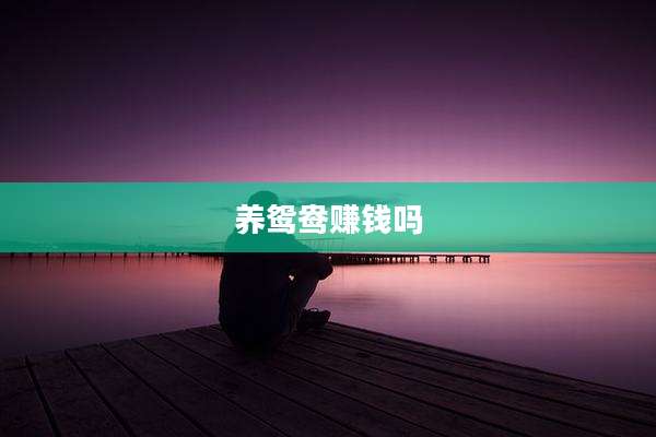养鸳鸯赚钱吗