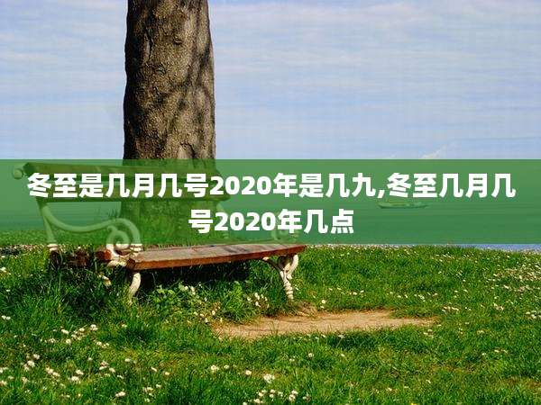 冬至是几月几号2020年是几九,冬至几月几号2020年几点