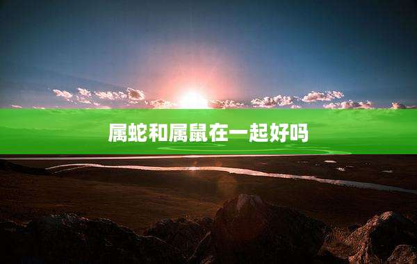 属蛇和属鼠在一起好吗