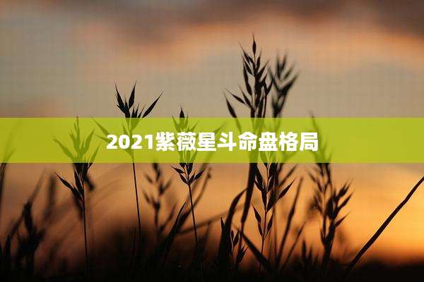 2021紫薇星斗命盘格局