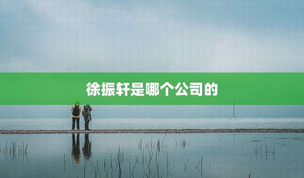 徐振轩是哪个公司的