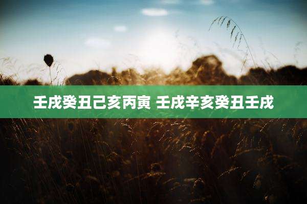 壬戌癸丑己亥丙寅 壬戌辛亥癸丑壬戌