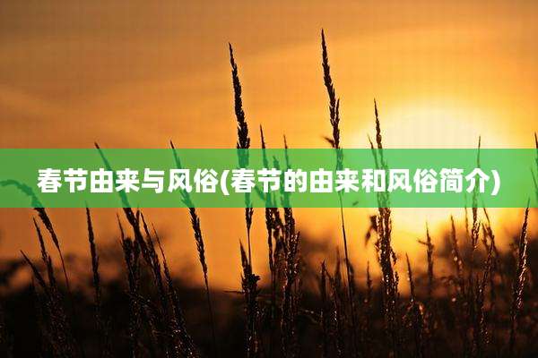 春节由来与风俗(春节的由来和风俗简介)