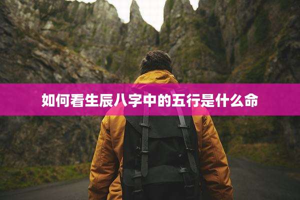如何看生辰八字中的五行是什么命
