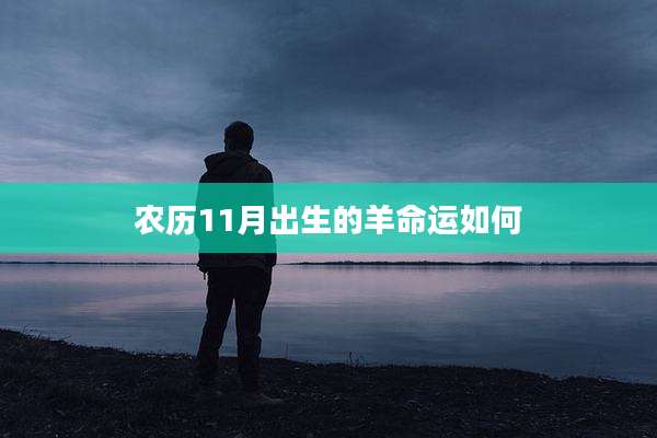 农历11月出生的羊命运如何