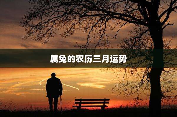属兔的农历三月运势
